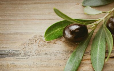 Olive Fresh